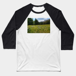 Glacier National Park Wild Flowers3 Baseball T-Shirt